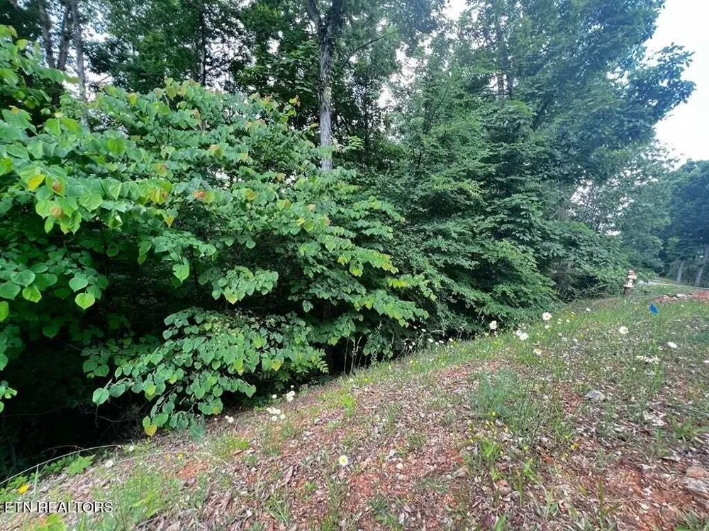 1955 Turners Landing Rd Russellville, TN 37860