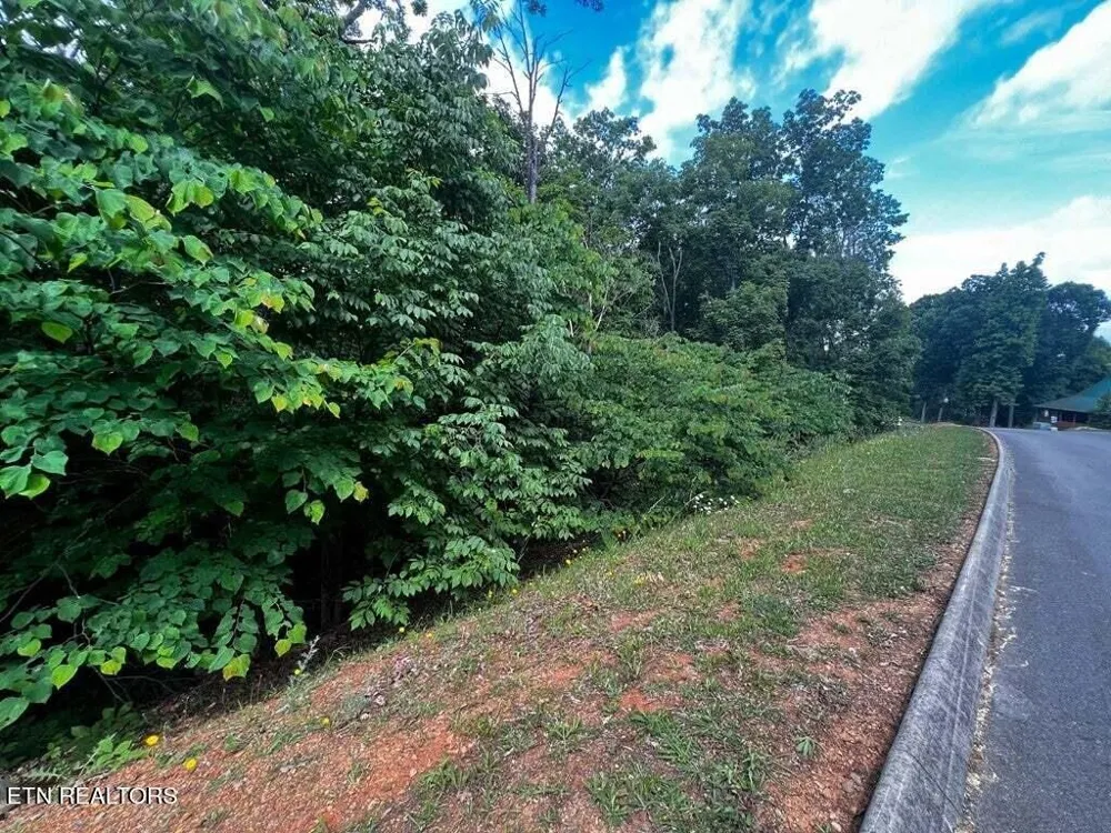 1955 Turners Landing Rd Russellville, TN 37860