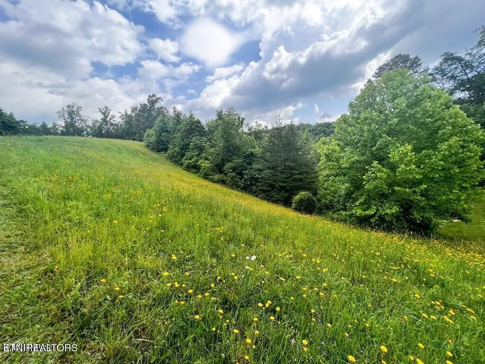 6213 Outlook Trl Russellville, TN 37860