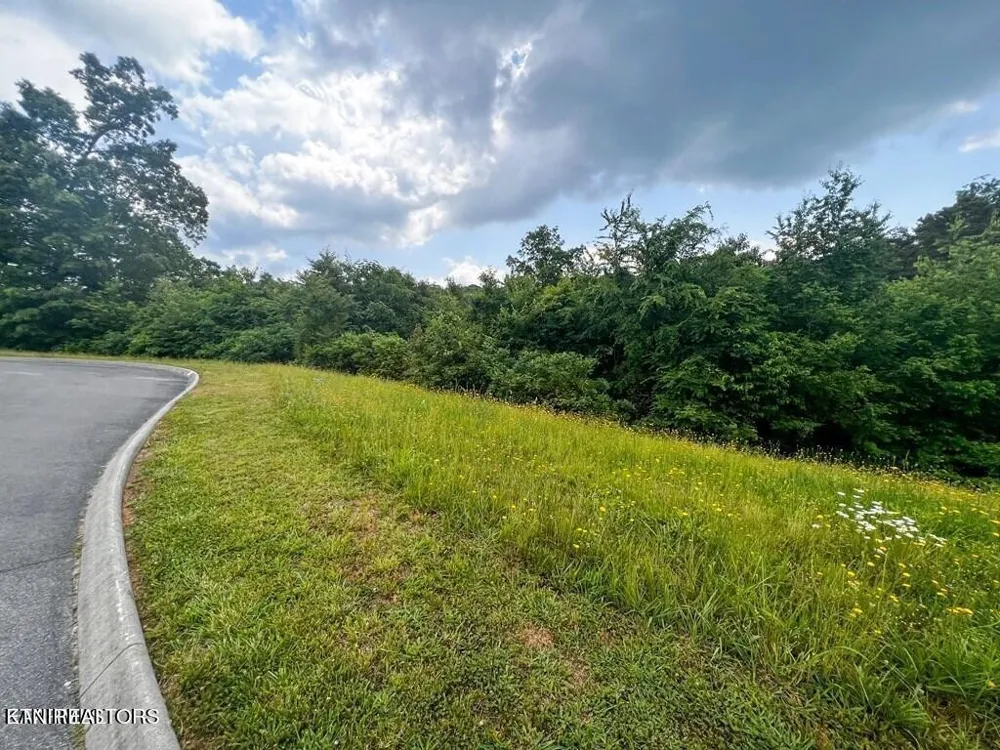 6213 Outlook Trl Russellville, TN 37860