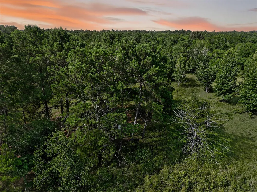 7449 Hwy 61 Highway Hankamer, TX 77560
