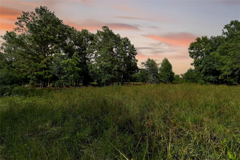 7449 Hwy 61 Highway Hankamer, TX 77560