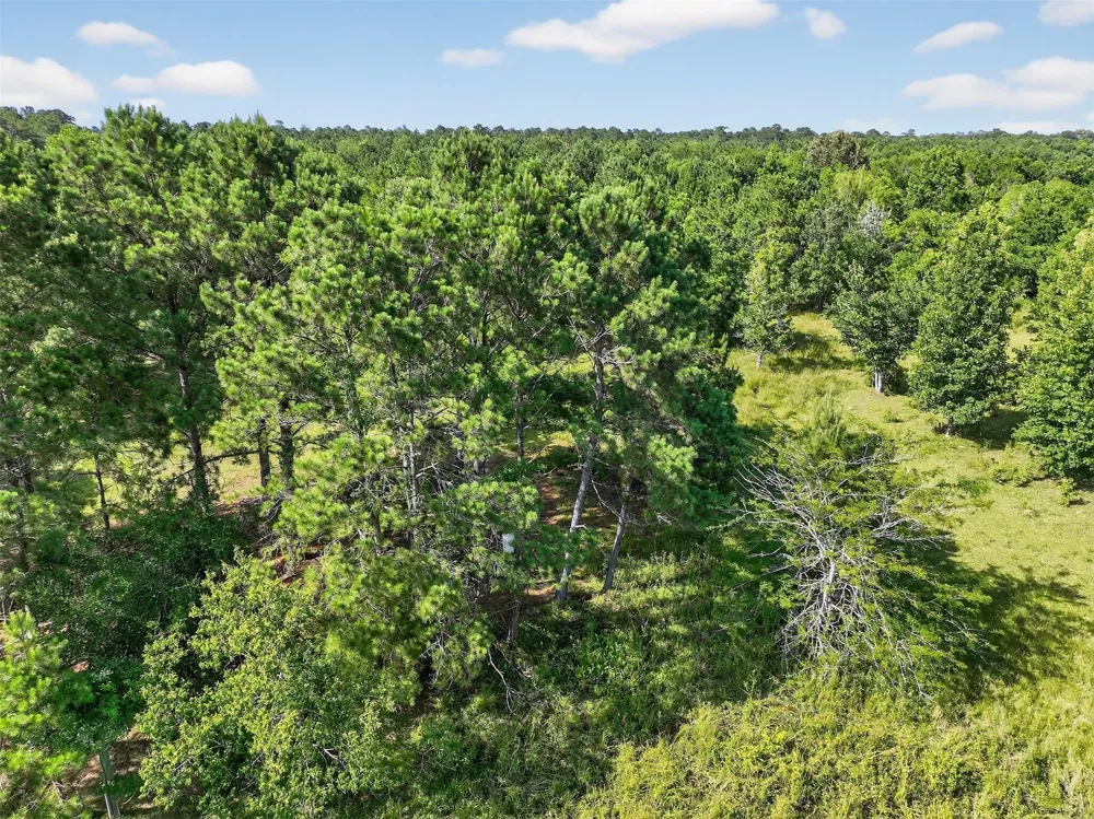 7449 Hwy 61 Highway Hankamer, TX 77560