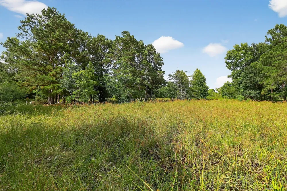 7449 Hwy 61 Highway Hankamer, TX 77560