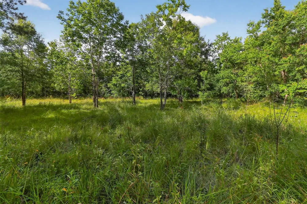 7449 Hwy 61 Highway Hankamer, TX 77560