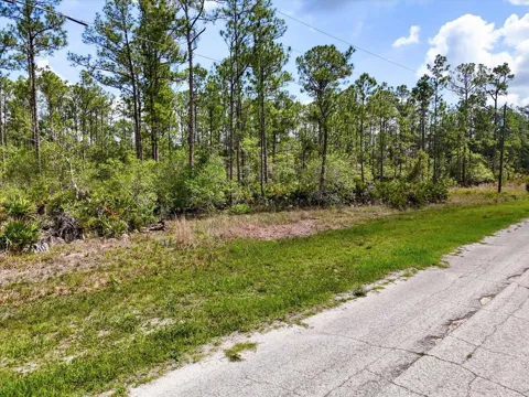 LOT 61 MEADOW LARK BOULEVARD