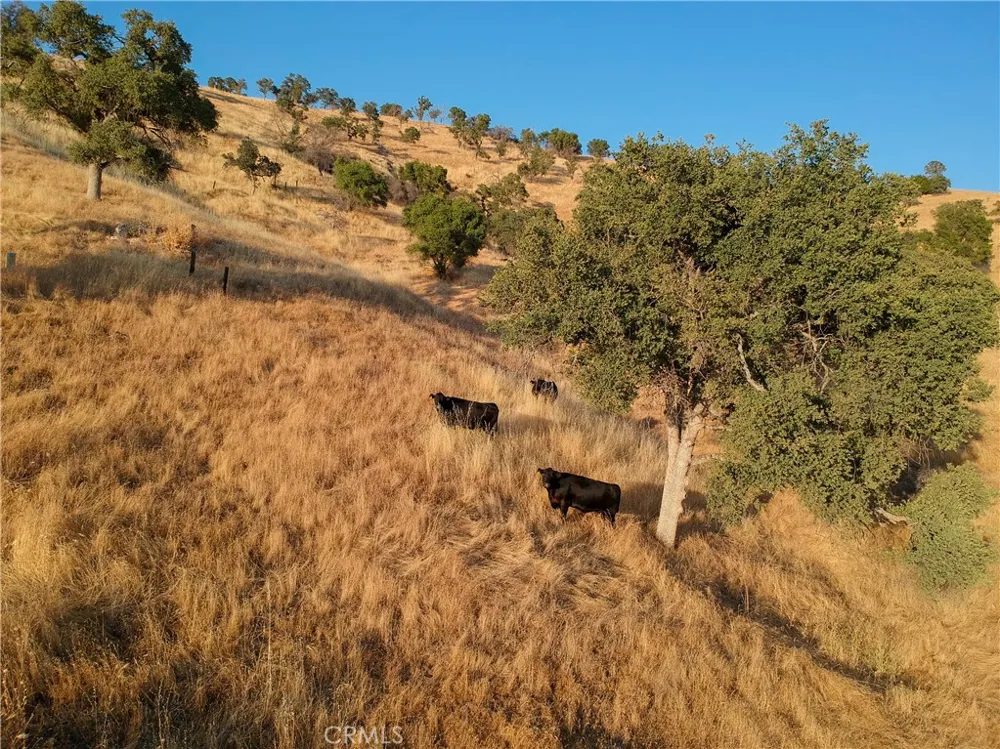 38914 Road 810 Raymond, CA 93653