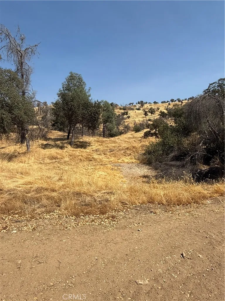 38914 Road 810 Raymond, CA 93653