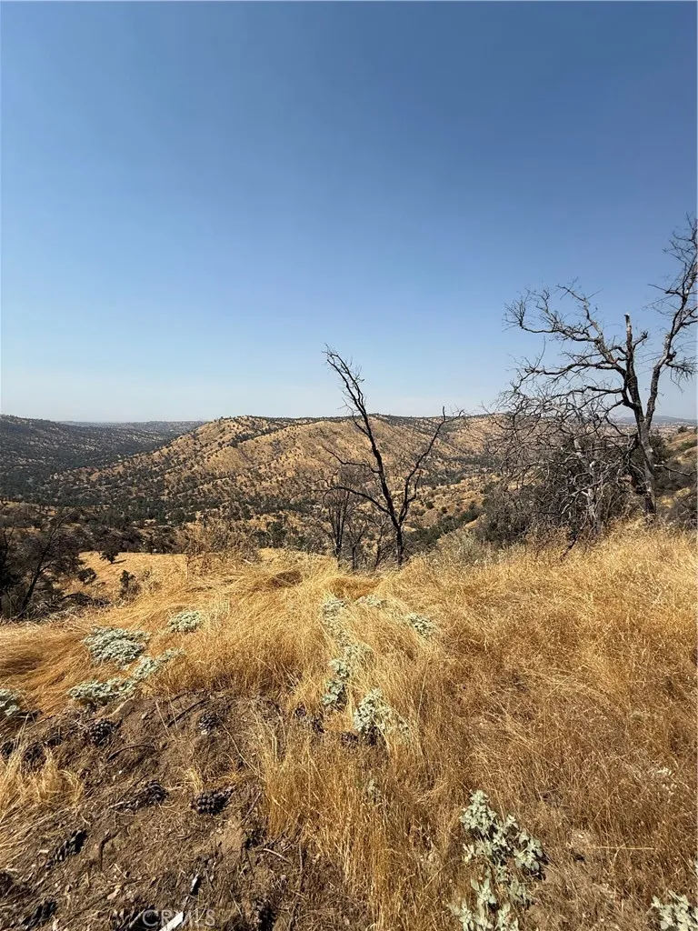 38914 Road 810 Raymond, CA 93653