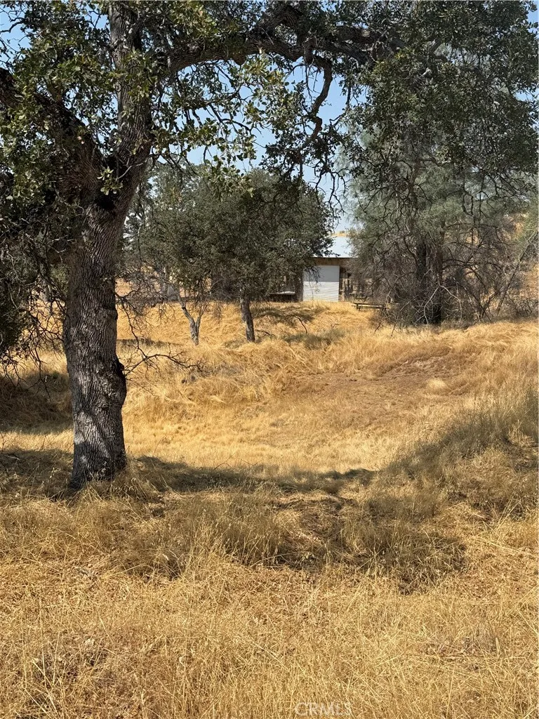 38914 Road 810 Raymond, CA 93653
