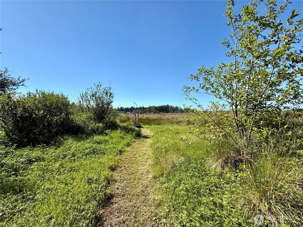 114 E Bayview Lane Westport, WA 98595