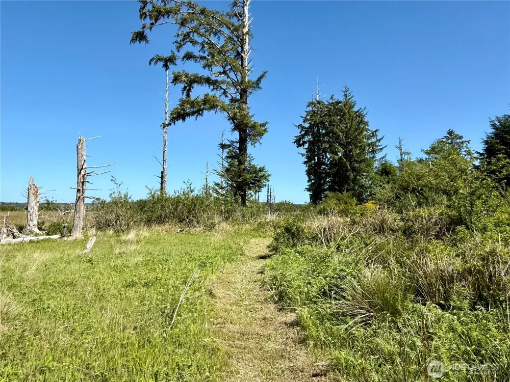 114 E Bayview Lane Westport, WA 98595