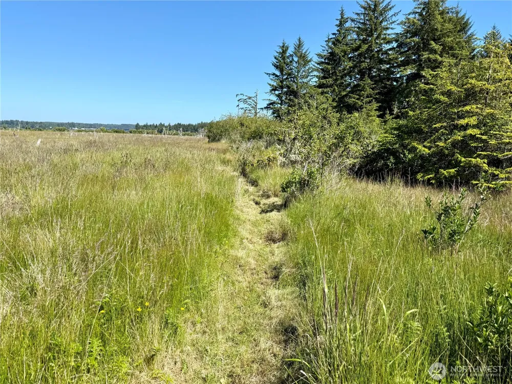 114 E Bayview Lane Westport, WA 98595