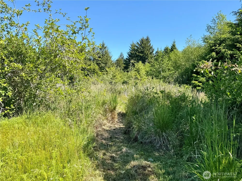 114 E Bayview Lane Westport, WA 98595
