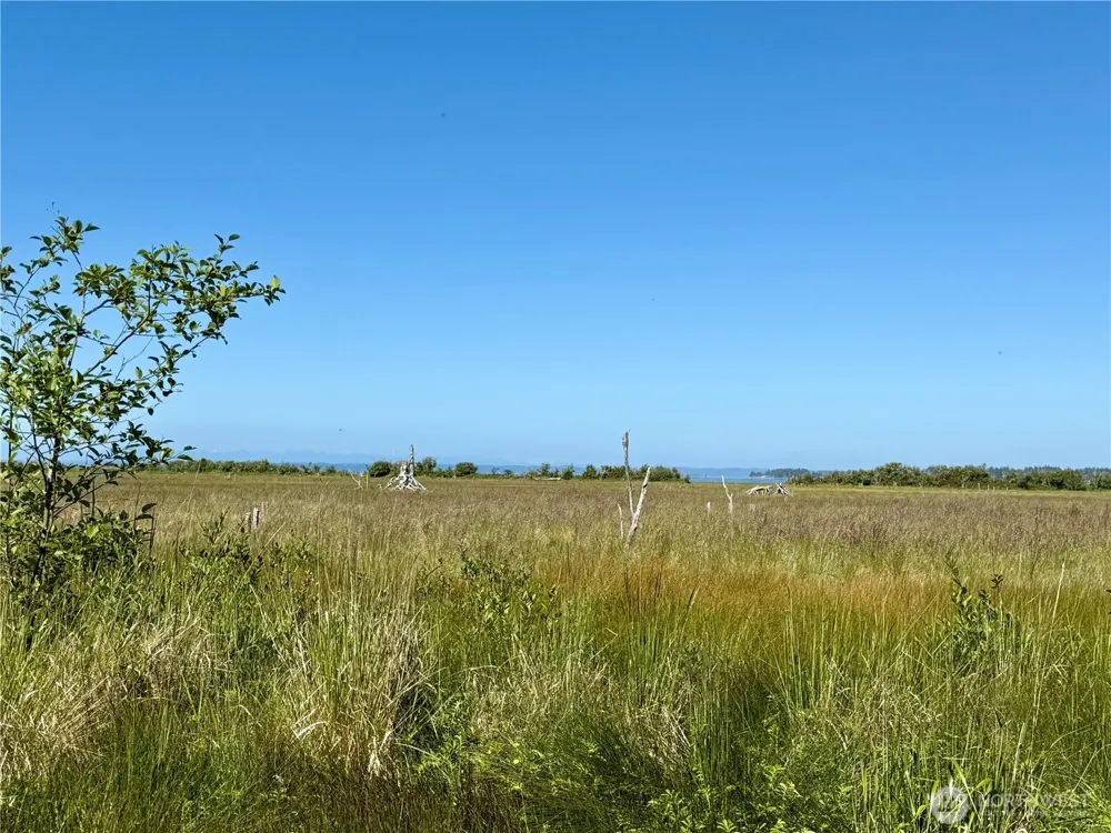 114 E Bayview Lane Westport, WA 98595