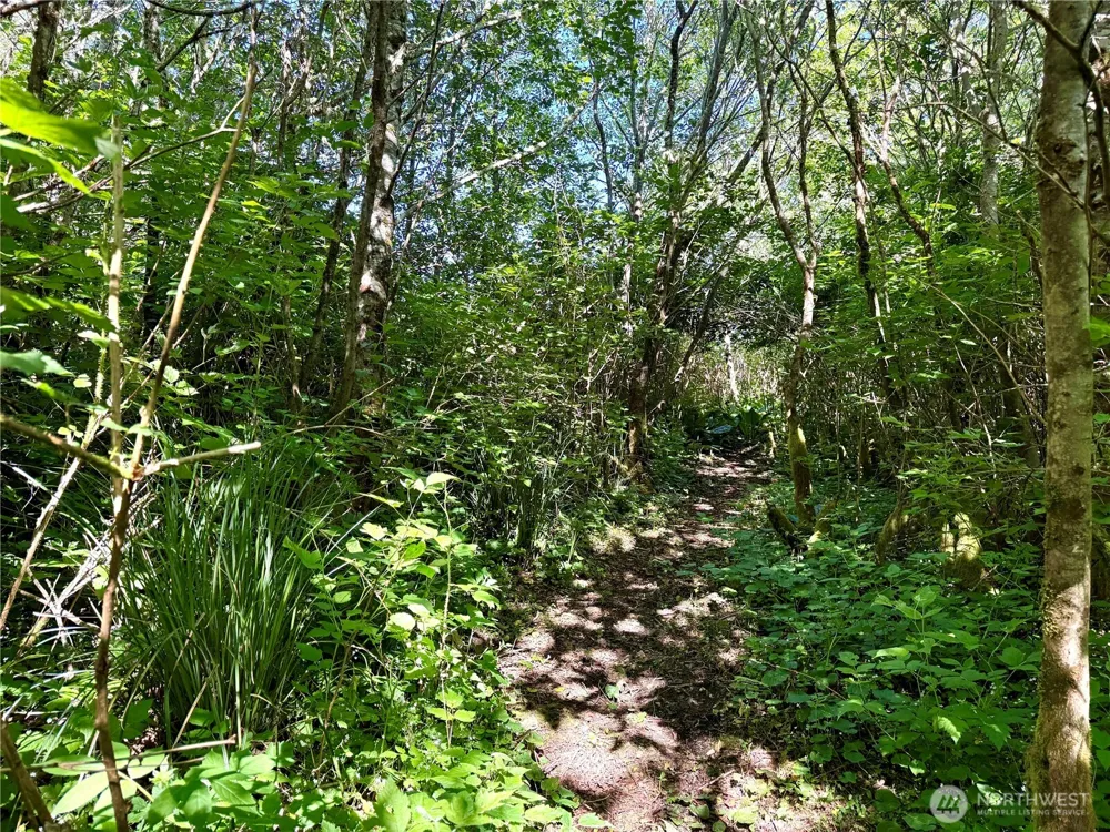 114 E Bayview Lane Westport, WA 98595