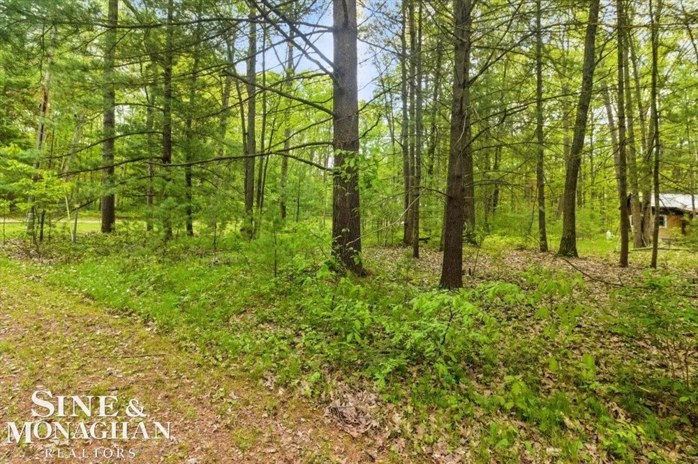 Breckenridge Street Markey Township, MI 48629