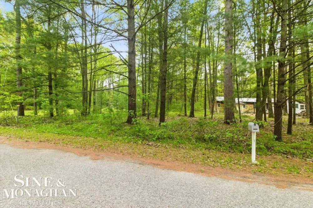 Breckenridge Street Markey Township, MI 48629