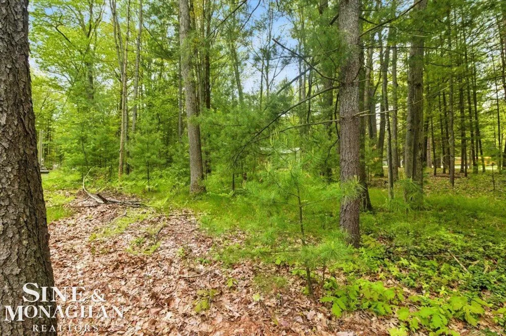 Breckenridge Street Markey Township, MI 48629