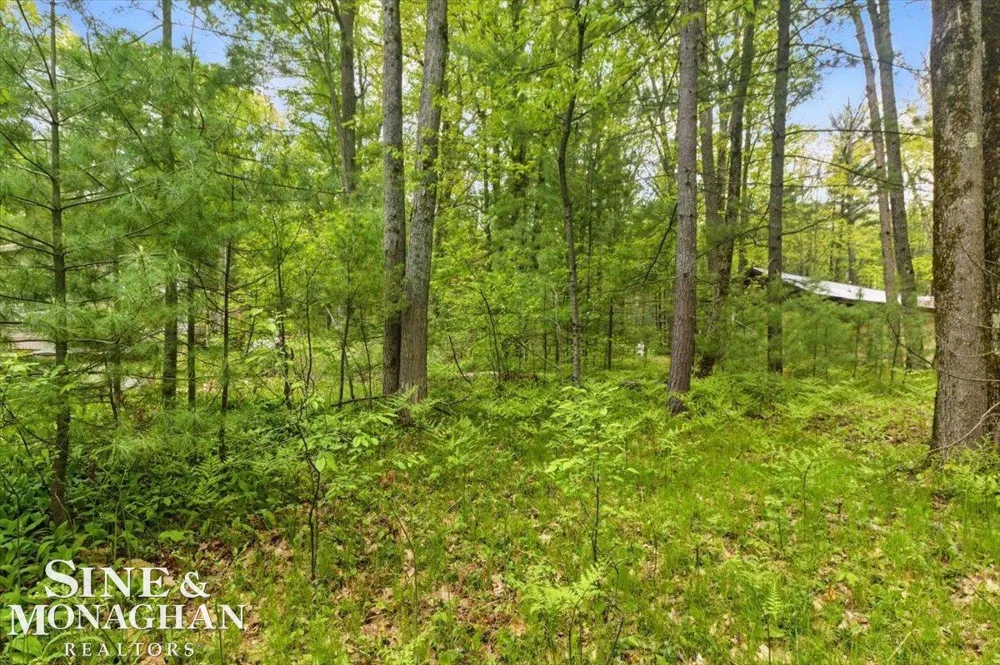 Breckenridge Street Markey Township, MI 48629