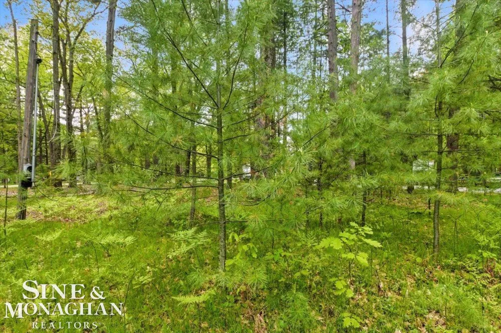 Breckenridge Street Markey Township, MI 48629