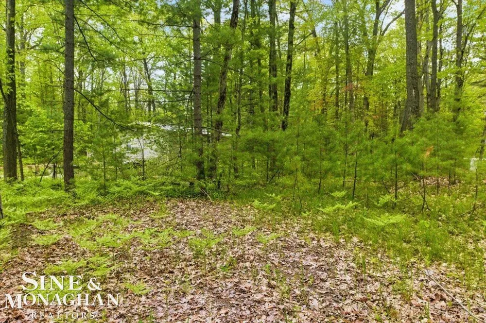 Breckenridge Street Markey Township, MI 48629