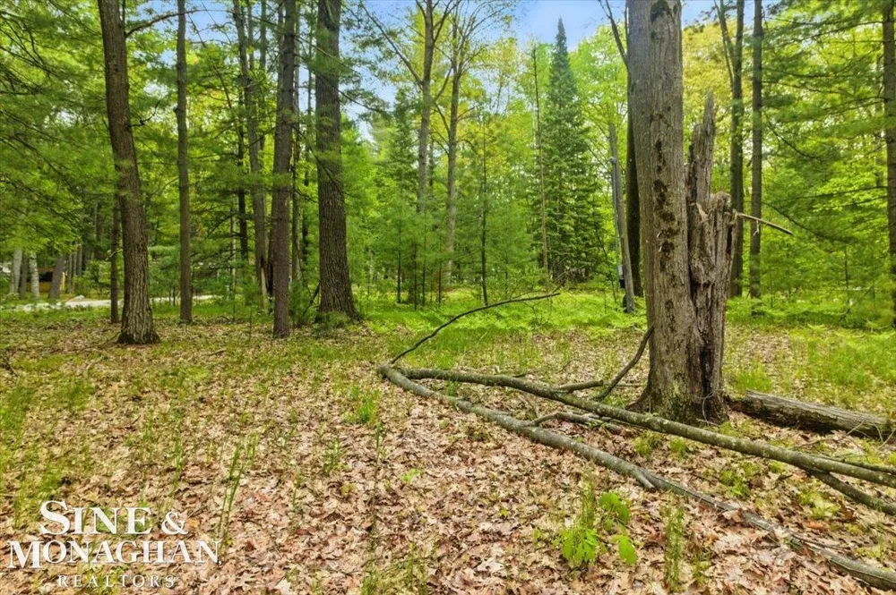 Breckenridge Street Markey Township, MI 48629