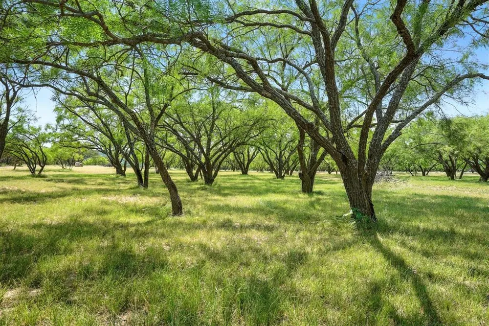 635 County Road 184 Lawn, TX 79530