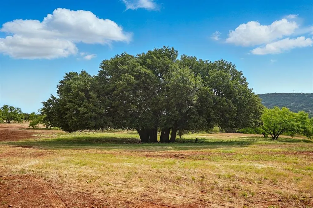 635 County Road 184 Lawn, TX 79530