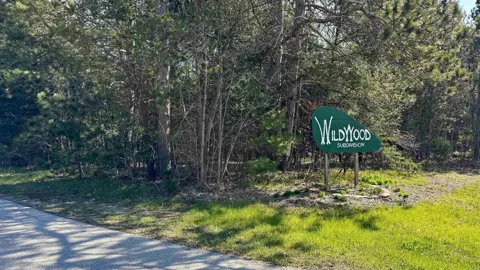 Whitetail Drive