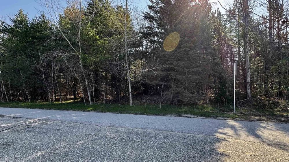 Whitetail Drive Cherry Grove Township, MI 49601