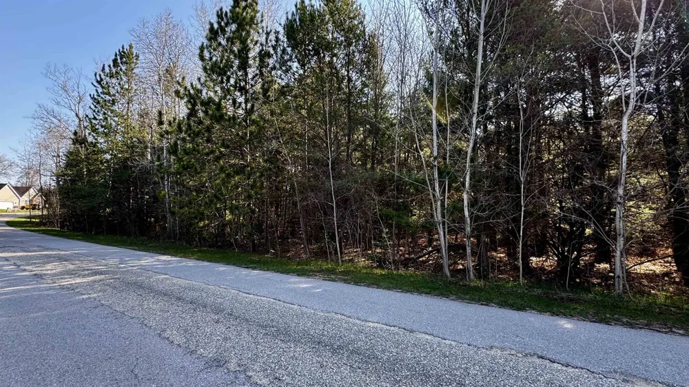 Whitetail Drive Cherry Grove Township, MI 49601