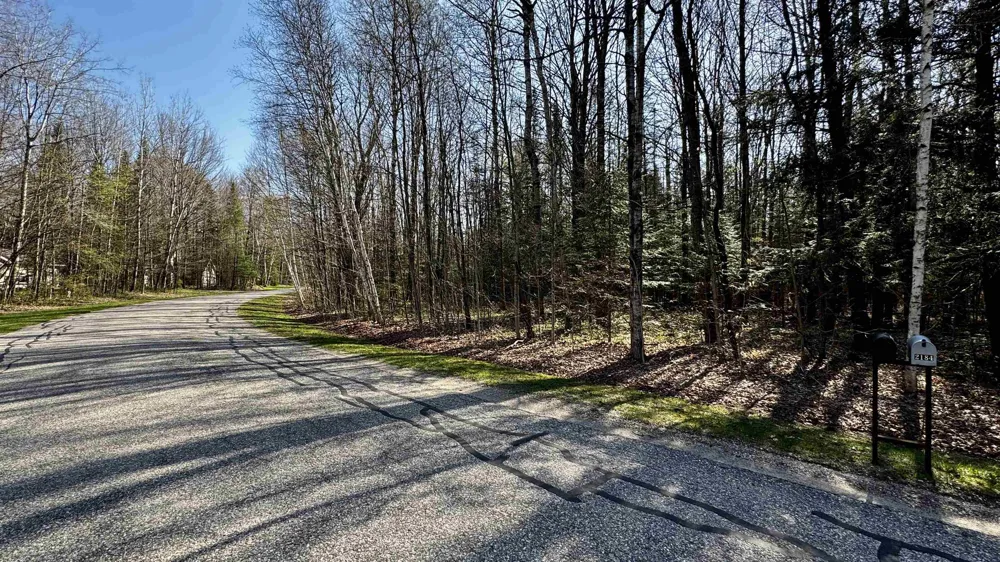 Whitetail Drive Cherry Grove Township, MI 49601