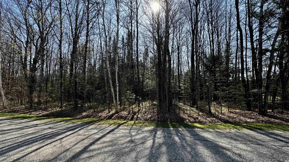 Whitetail Drive Cherry Grove Township, MI 49601