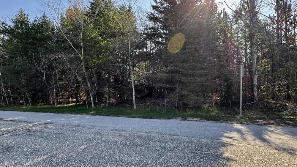 8 Whitetail Drive Cadillac, MI 49601