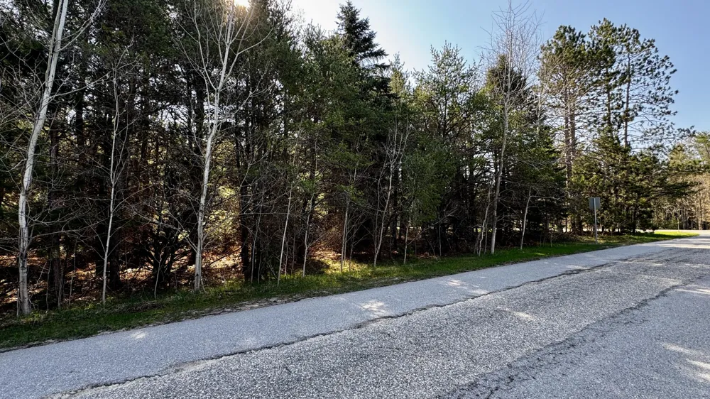 8 Whitetail Drive Cadillac, MI 49601