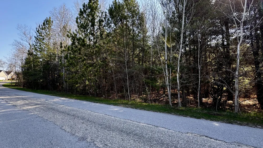 8 Whitetail Drive Cadillac, MI 49601
