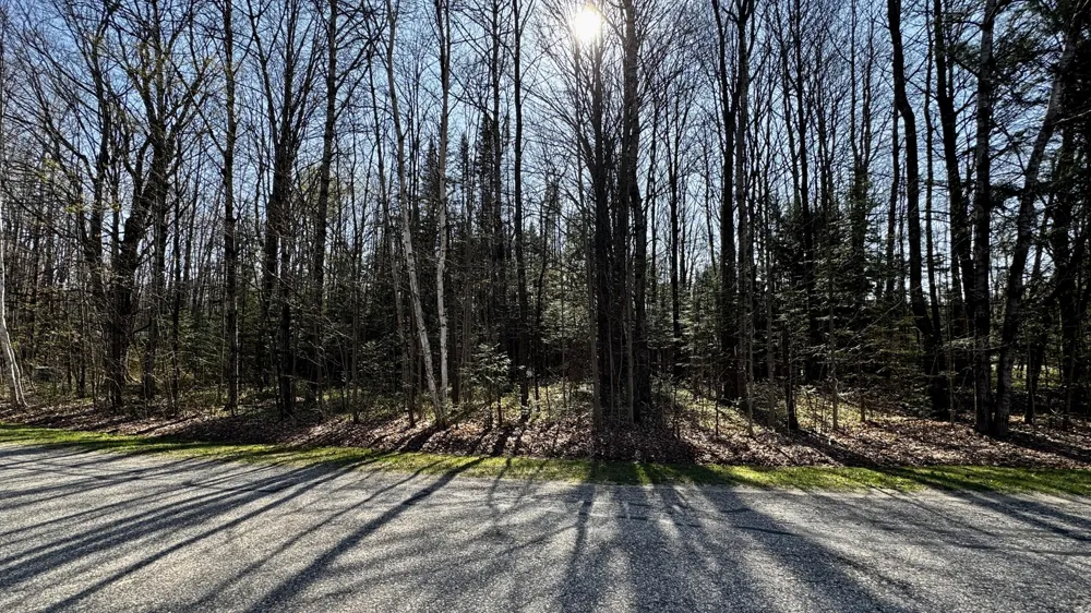 8 Whitetail Drive Cadillac, MI 49601