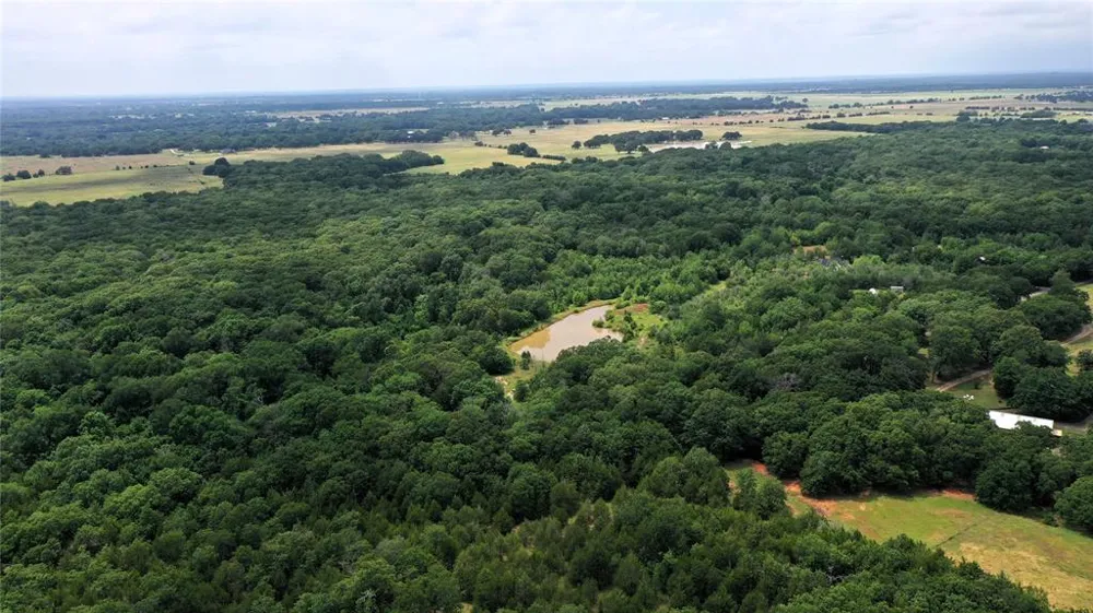 County Road 2620 Ivanhoe, TX 75447