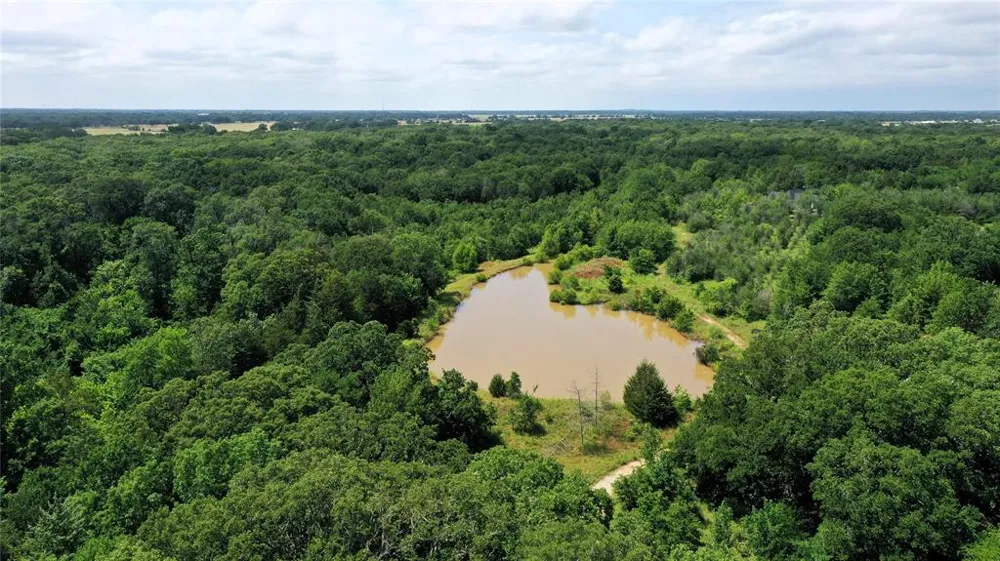 County Road 2620 Ivanhoe, TX 75447