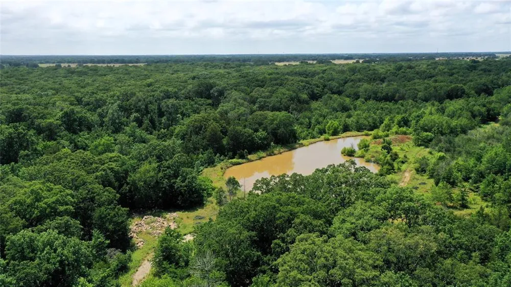 County Road 2620 Ivanhoe, TX 75447