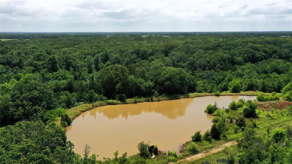 County Road 2620 Ivanhoe, TX 75447