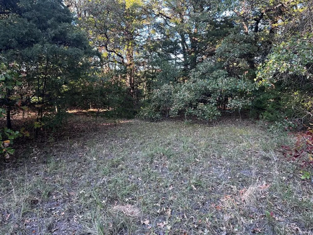 County Road 2620 Ivanhoe, TX 75447