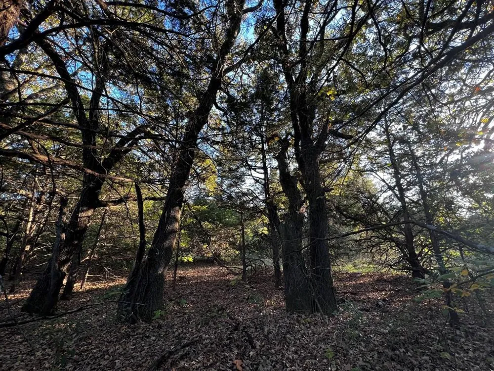 County Road 2620 Ivanhoe, TX 75447