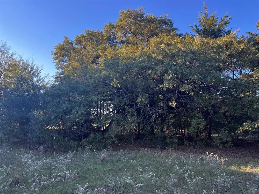 County Road 2620 Ivanhoe, TX 75447
