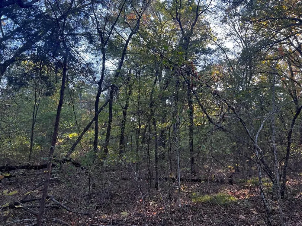 County Road 2620 Ivanhoe, TX 75447