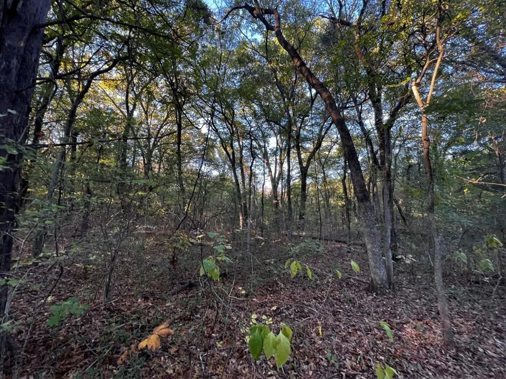 County Road 2620 Ivanhoe, TX 75447