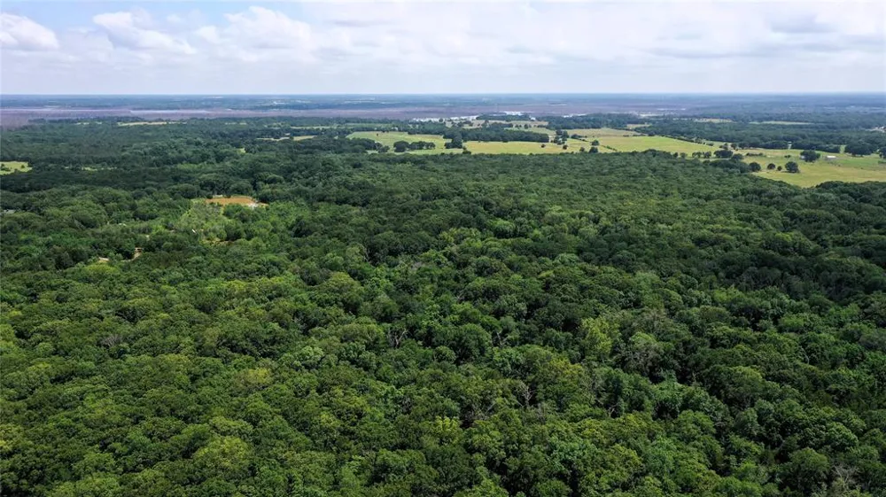County Road 2620 Ivanhoe, TX 75447