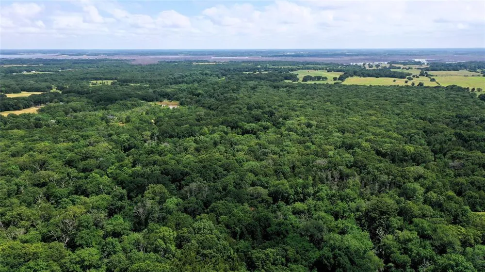 County Road 2620 Ivanhoe, TX 75447
