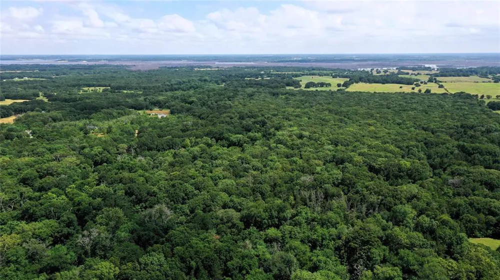County Road 2620 Ivanhoe, TX 75447
